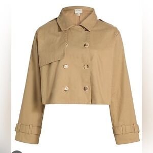 Cami NYC Evans Cropped Trench